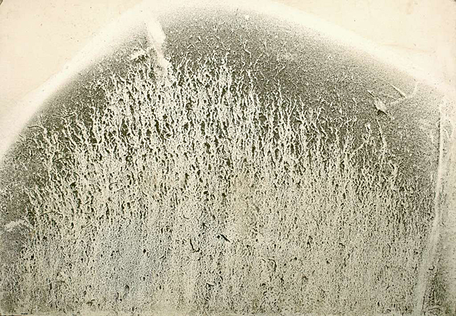 Natural Art 81