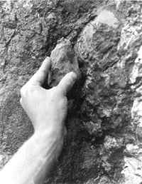 Reconstruction attempt of an Icelandic Quarry