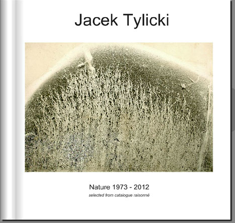 Tylicki Catalogue Raisonne cover
